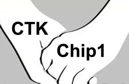 Success Story: Chip1 Becomes CTK's Authorized Distributor