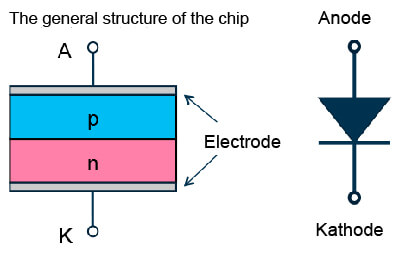 The general structure of the chip